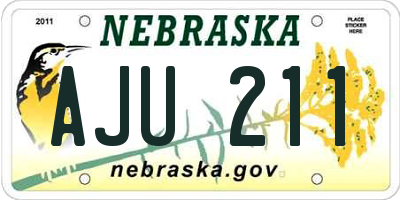 NE license plate AJU211