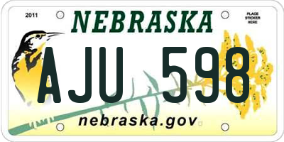 NE license plate AJU598