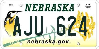 NE license plate AJU624