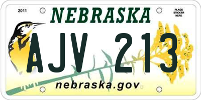 NE license plate AJV213