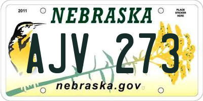 NE license plate AJV273