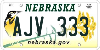 NE license plate AJV333