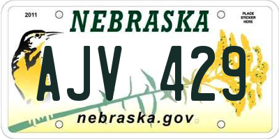 NE license plate AJV429