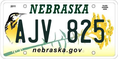 NE license plate AJV825