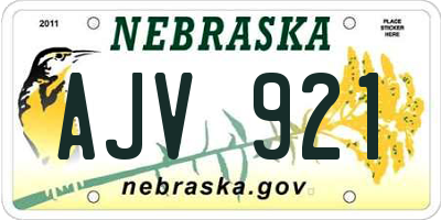 NE license plate AJV921