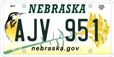NE license plate AJV951
