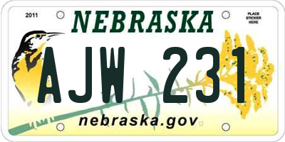 NE license plate AJW231