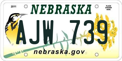 NE license plate AJW739