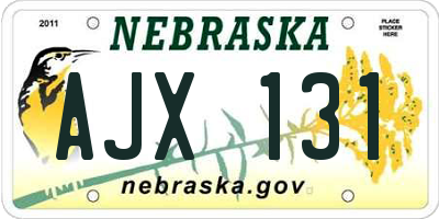 NE license plate AJX131