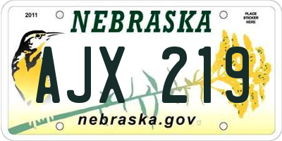 NE license plate AJX219