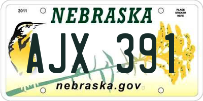NE license plate AJX391