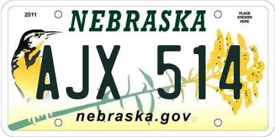 NE license plate AJX514
