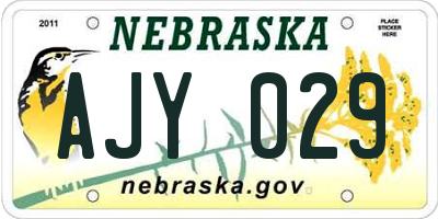 NE license plate AJY029