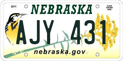 NE license plate AJY431