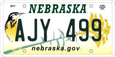 NE license plate AJY499