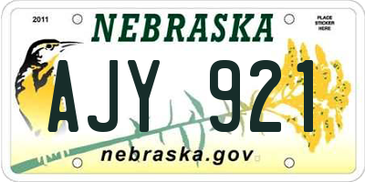 NE license plate AJY921