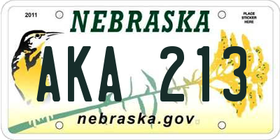 NE license plate AKA213