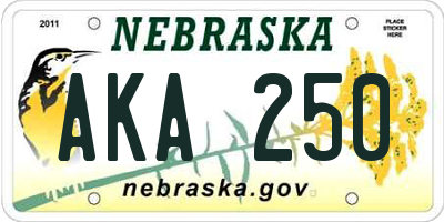 NE license plate AKA250