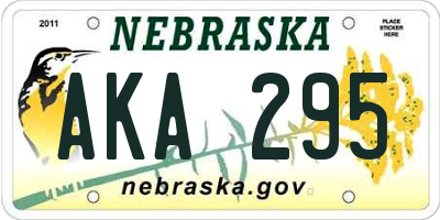NE license plate AKA295