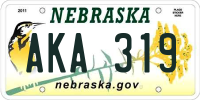 NE license plate AKA319