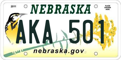 NE license plate AKA501
