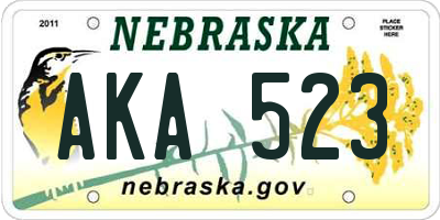 NE license plate AKA523