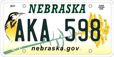 NE license plate AKA598
