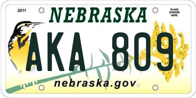 NE license plate AKA809