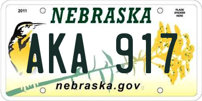 NE license plate AKA917