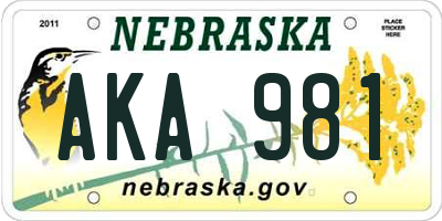 NE license plate AKA981