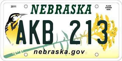 NE license plate AKB213