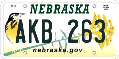 NE license plate AKB263