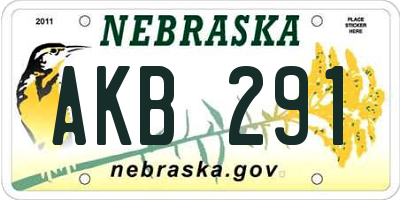 NE license plate AKB291