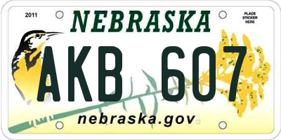 NE license plate AKB607