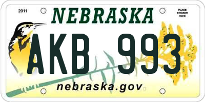 NE license plate AKB993