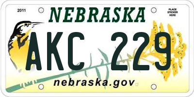 NE license plate AKC229
