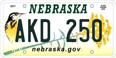 NE license plate AKD250