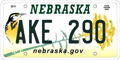 NE license plate AKE290