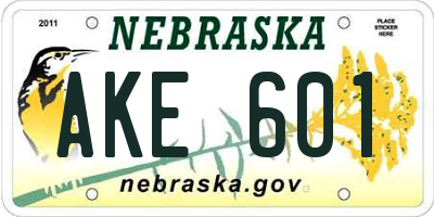 NE license plate AKE601