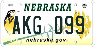 NE license plate AKG099