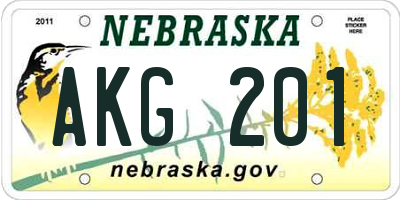 NE license plate AKG201