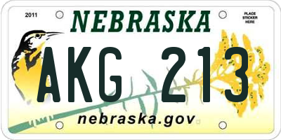 NE license plate AKG213