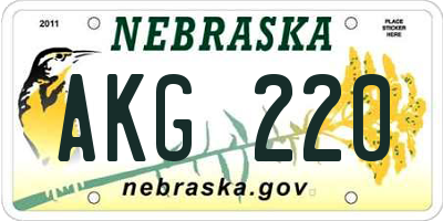 NE license plate AKG220