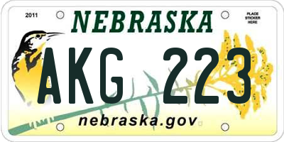NE license plate AKG223