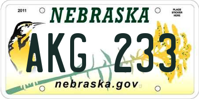 NE license plate AKG233