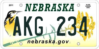 NE license plate AKG234