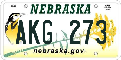 NE license plate AKG273