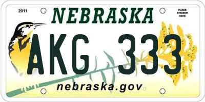 NE license plate AKG333