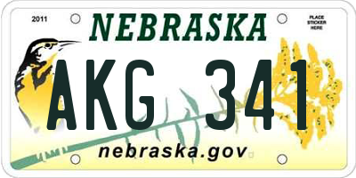 NE license plate AKG341