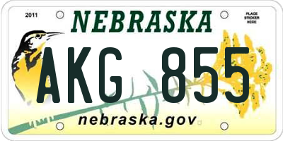 NE license plate AKG855